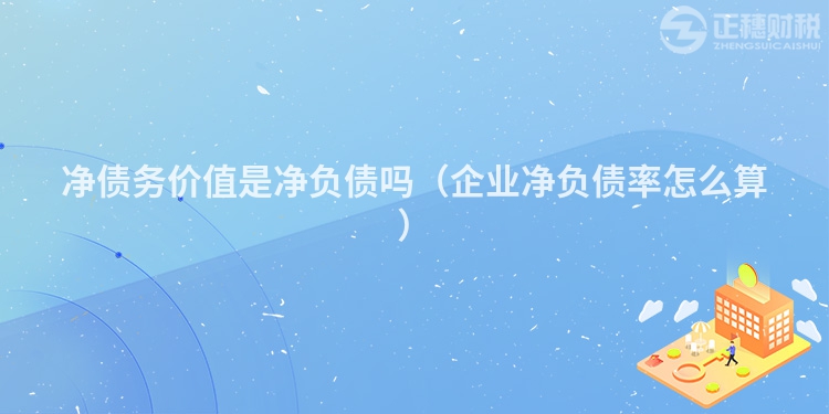 净债务价值是净负债吗（企业净负债率怎么算）