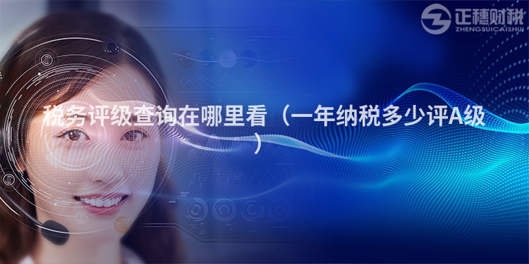 税务评级查询在哪里看（一年纳税多少评A级）