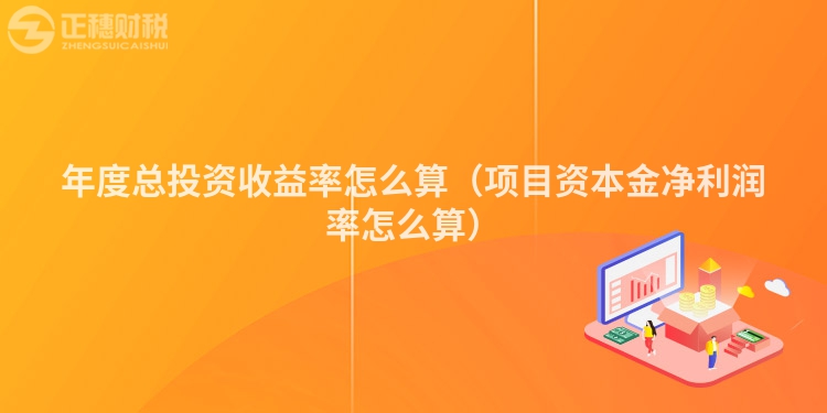 年度总投资收益率怎么算（项目资本金净利润率怎么算）