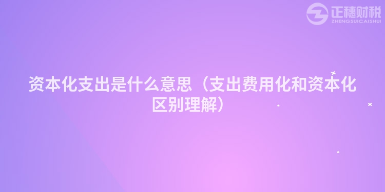 资本化支出是什么意思（支出费用化和资本化区别理解）