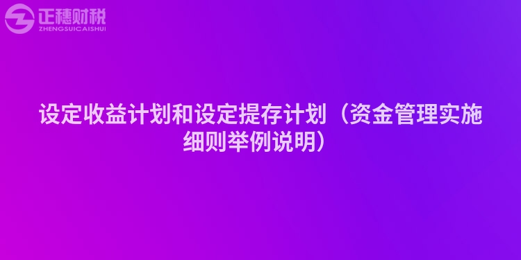 设定收益计划和设定提存计划（资金管理实施细则举例说明）