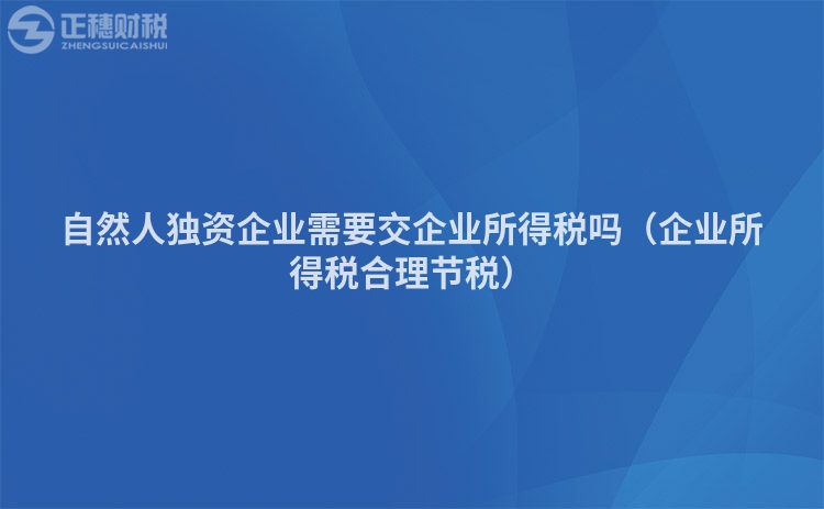 自然人独资企业需要交企业所得税吗（企业所得税合理节税）